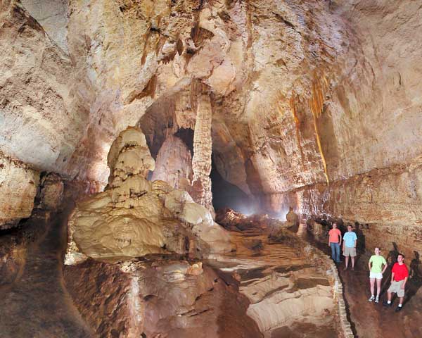 Spelunking: Not a Slur Wildlife. There is recent evidence of bats residing in Natural Bridge Caverns including roosting areas and accumulation of bat guano. Bracken Cave, near Natural Bridge Caverns is home to one of two large bat colonies in Texas. The bats that inhabit Bracken Cave are a small species called Mexican free-tailed bats. Bats control the insect.